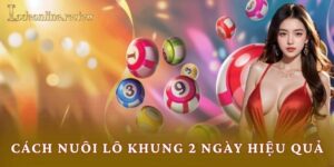 Cách Nuôi Lô Khung 2 Ngày Hiệu Quả