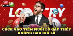 Cách Vào Tiền Nuôi Lô Gấp Thếp Không Bao Giờ Lỗ