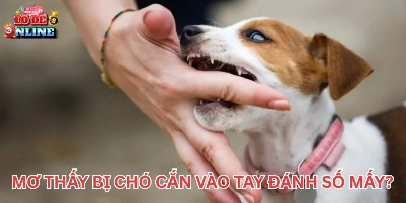 Mơ Thấy Bị Chó Cắn vào tay đánh số mấy?