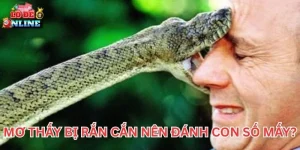 Mơ Thấy Bị Rắn Cắn nên đánh con số mấy?