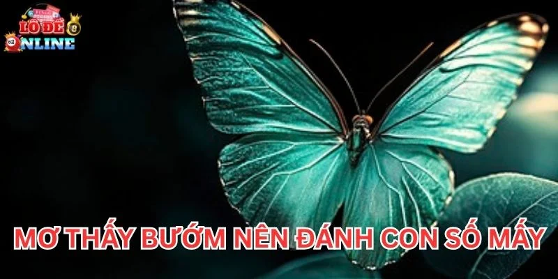 Mơ Thấy Bướm nên đánh con số mấy?