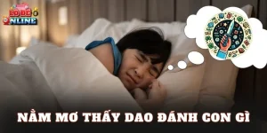 Nằm Mơ Thấy Dao Đánh Con Gì