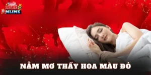 Nằm Mơ Thấy Hoa Màu Đỏ