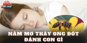 nằm mơ thấy ong đốt đánh con gì
