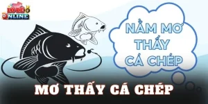 Mơ Thấy Cá Chép