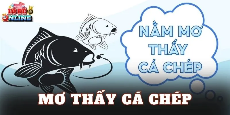 Mơ Thấy Cá Chép