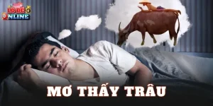Mơ Thấy Trâu