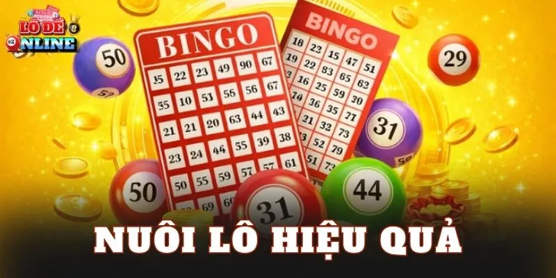 Nuôi Lô Hiệu Quả